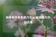 拼多多拼多多助力平台,最新助力平台合集