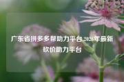 广东省拼多多帮助力平台,2026年最新砍价助力平台