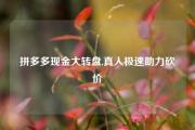 拼多多现金大转盘,真人极速助力砍价