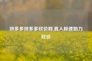 拼多多拼多多砍价群,真人极速助力砍价