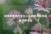 拼多多帮助力平台,24小时助力业务自助下单平台