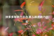 拼多多帮助力平台,真人极速助力砍价