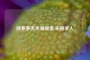 拼多多天天领现金,不用求人