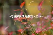 9月拼多多助力最新入口 2026