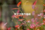 拼夕夕助力链接