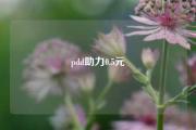pdd助力0.5元