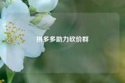 拼多多助力砍价群