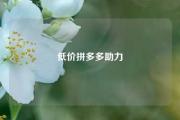 低价拼多多助力