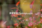 拼多多助力pddzhuli.qcqj.cn