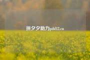 拼夕夕助力pdd12.cn