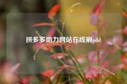 拼多多助力网站在线刷pdd
