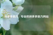 拼多多助力 - 专业的拼多多助力网站
