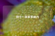 双十一拼多多助力