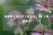 拼多多丨拼夕夕丨拼刀刀丨 pdd 丨多多助力
