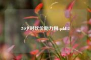 24小时砍价助力网-pdd12