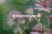 拼多多砍价助力网平台