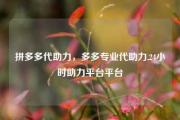 拼多多代助力，多多专业代助力,24小时助力平台平台