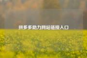 拼多多助力网站链接入口