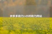 拼多多助力24小时助力网站