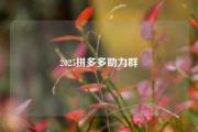 2025拼多多助力群