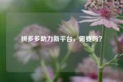 拼多多助力新平台，需要吗？