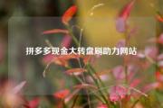 拼多多现金大转盘刷助力网站