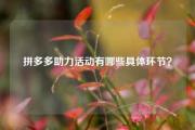 拼多多助力活动有哪些具体环节？