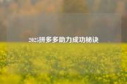 2025拼多多助力成功秘诀