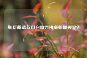 如何邀请新用户助力拼多多提现呢？