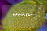 拼多多助力平台2025