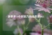 拼多多24小时助力网站低价2025