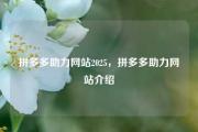 拼多多助力网站2025，拼多多助力网站介绍