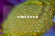 2025拼多多助力网