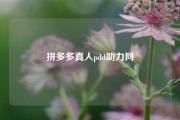 拼多多真人pdd助力网