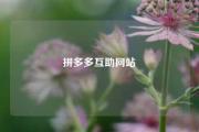 拼多多互助网站