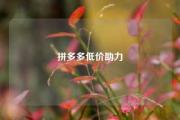 拼多多低价助力
