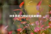 拼多多助力网站在线刷微信