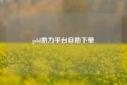 pdd助力平台自助下单