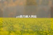 pdd助力刷人网站