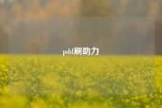 pdd刷助力