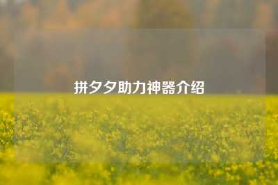 拼夕夕助力神器介绍