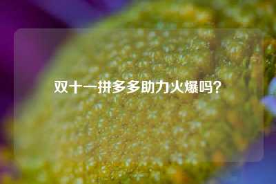 双十一拼多多助力火爆吗?