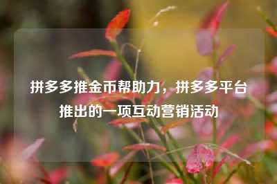 拼多多推金币帮助力,拼多多平台推出的一项互动营销活动