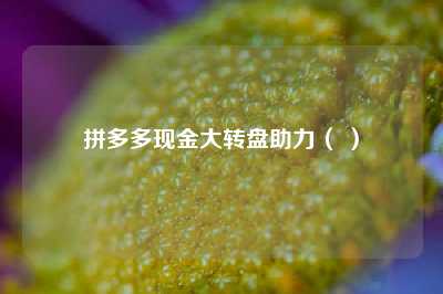 拼多多现金大转盘助力( )
