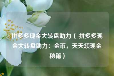 拼多多现金大转盘助力( 拼多多现金大转盘助力:金币,天天领现金秘籍)