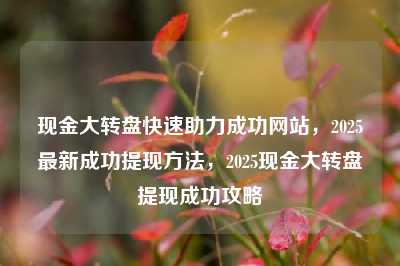 现金大转盘快速助力成功网站,2025最新成功提现方法,2025现金大转盘提现成功攻略