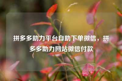拼多多助力平台自助下单微信,拼多多助力网站微信付款