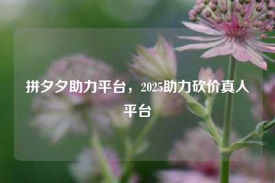 拼夕夕助力平台,2025助力砍价真人平台