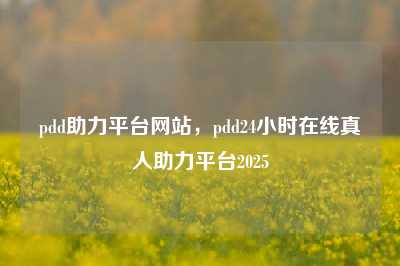 pdd助力平台网站，pdd24小时在线真人助力平台2025