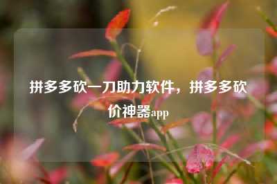 拼多多砍一刀助力软件,拼多多砍价神器app